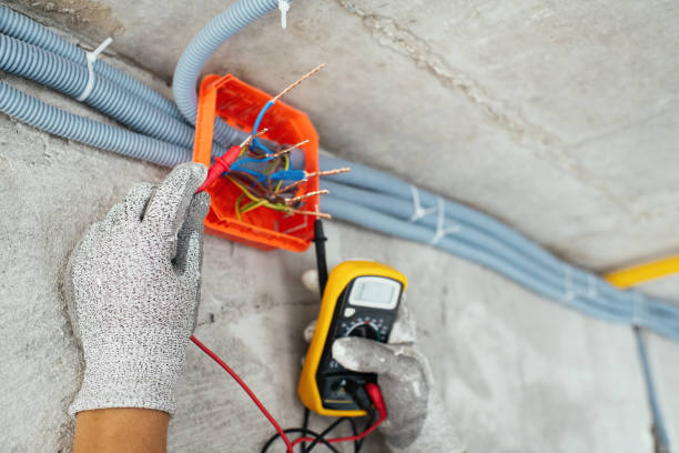 Best Electric Panel Repair  in Grant, AL